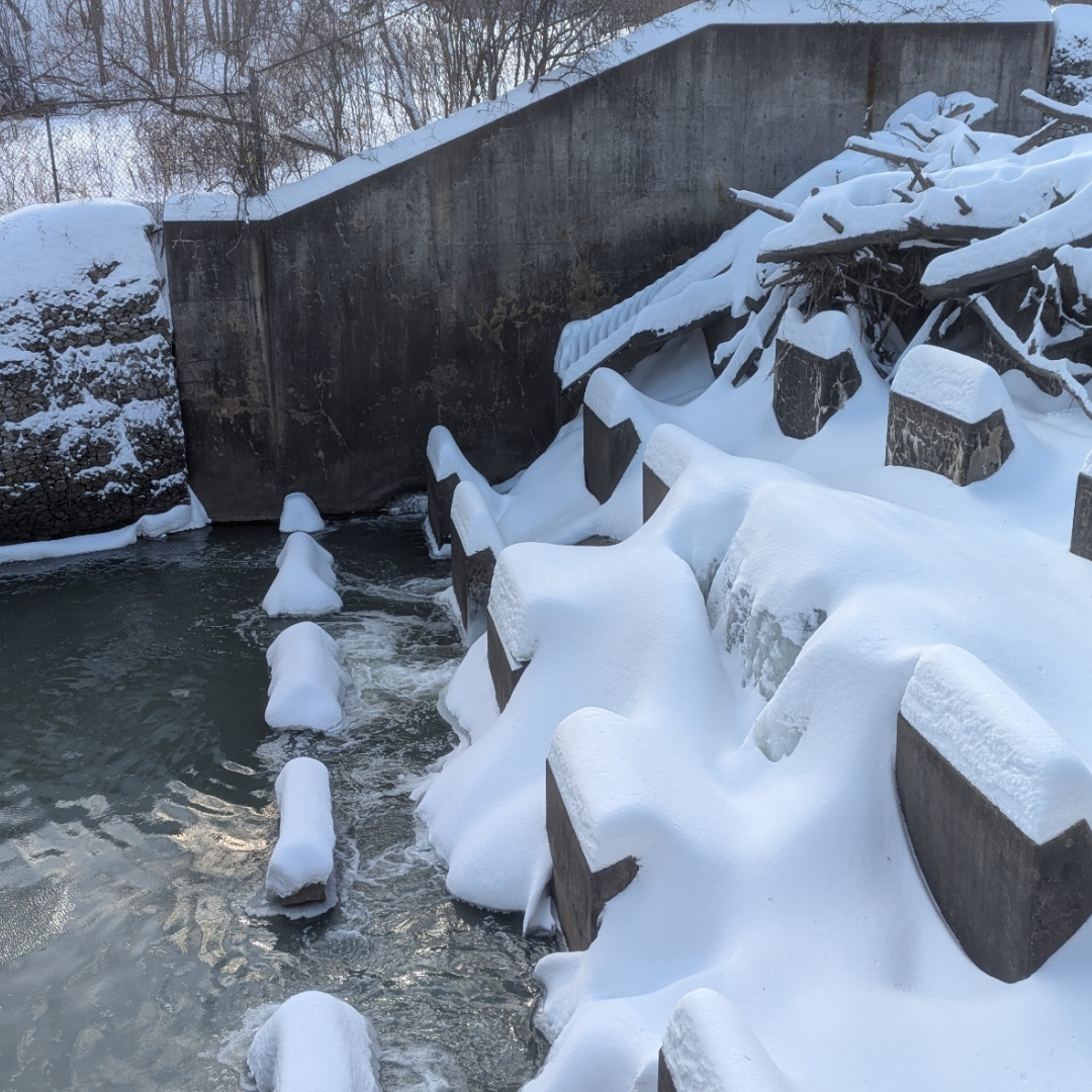 As we continued, we also went to record water or a small river. Funny enough, the first one we usually walk by was nearly frozen, so we took a little detour. Of course, the knee-high snow didn’t stop us from getting to the waterfall. The strong wind made the sound even more intense. It was also interesting because the top part was frozen, and more of the water sound came from the unfrozen lower area.<br><audio controls src='audio/Waterfall .m4a'></audio>